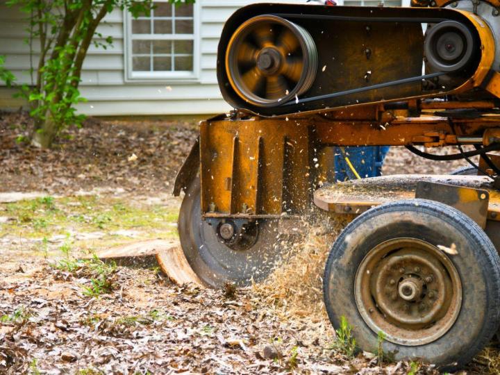 Entreprise qualifiée et expérimentée pour effectuer le dessouchage d’arbres