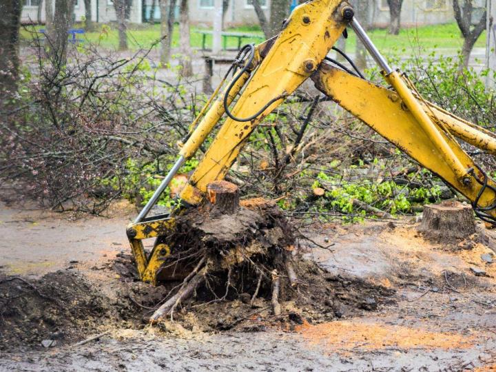 Travaux de dessouchage d'arbres Territoire de Belfort